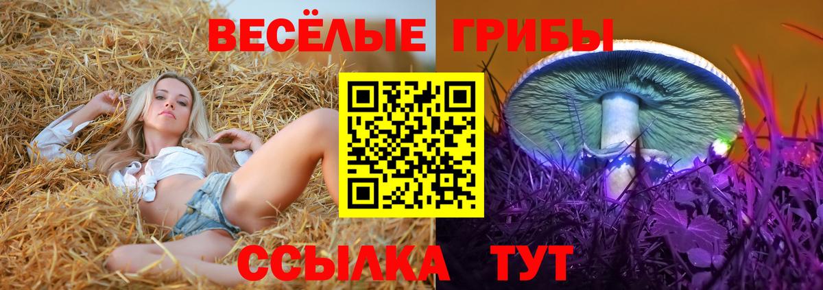 Галлюциногенные грибы MAGIC MUSHROOMS Оренбург